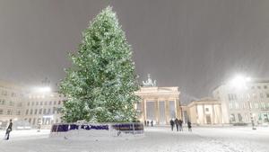 10.12.2017, Berlin, Deutschland, GER - Erster starker Schneefall im Winter 2017/2018 im Bild der beleuchtete Weihnachtbaum am Brandenburger Tor bei Schneegestöber. . *** 10 12 2017 Berlin Germany GER First heavy snowfall in winter 2017 2018 In the picture the illuminated Christmas tree at the Brandenburger Tor with snow flurries