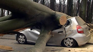 Ein umgestürzter Baum liegt am Donnerstag (18.01.2007) in Dortmund auf einem unbesetzten Auto. Umgestürzte Bäume, umherfliegende Dachziegel, voll gelaufene Keller und eingestellter Bahnverkehr: Das Orkantief "Kyrill" richtete am Donnerstag zahlreiche Schäden in Nordrhein-Westfalen an und sorgte für schwere Verkehrsbehinderungen. Windböen mit mehr als 110 Kilometern pro Stunde fegten über das Land und ließen die Einsatzkräfte nicht zur Ruhe kommen. Foto: Markus Wüllner dpa/lnw +++(c) dpa - Bildfunk+++
