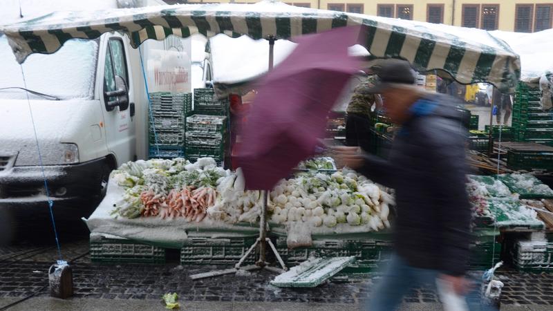 Gemüse im Schnee au dem Markt.Das Wetter in Leipzig mitte März.Der Winter ist immer noch nicht vorbei und meldet sich zurück. Starker Schneeregen und Wind, Temperatruren um 1 Grad Celsius lässt eine Rekort kälte in der Messestadt erwarten. *** Vegeta