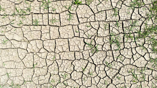 Nach erster Hitzewelle: Große Angst vor Dürre in 2022