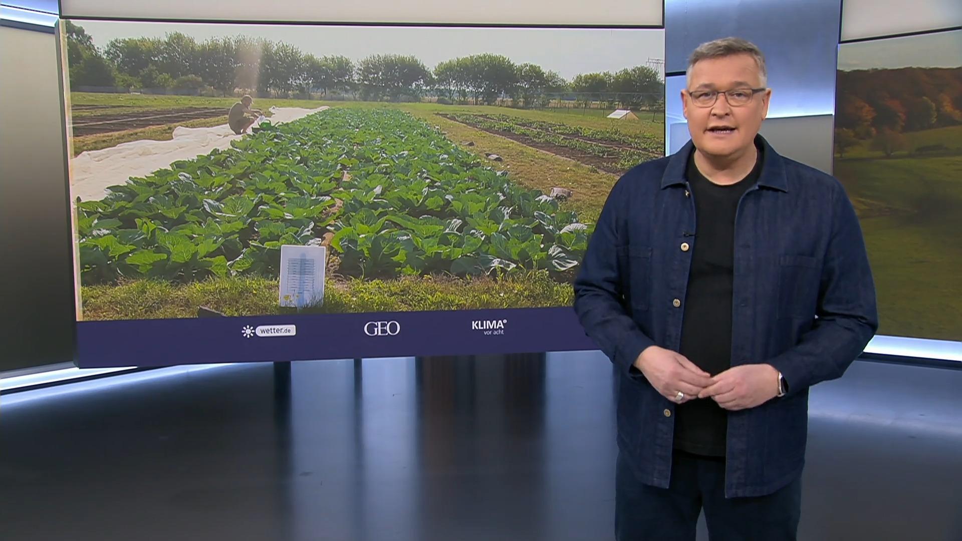 Revolution in der Landwirtschaft?: Menschlicher Urin und Kot als Dnger fr  das Gemse