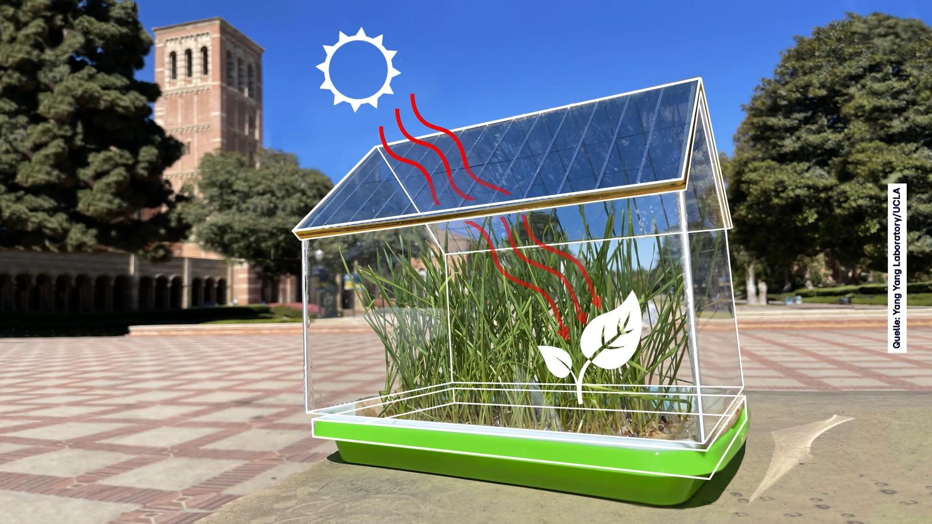 Photovoltaik auf Gewächshaus - Pflanzen wachsen mit Solar-Energie
