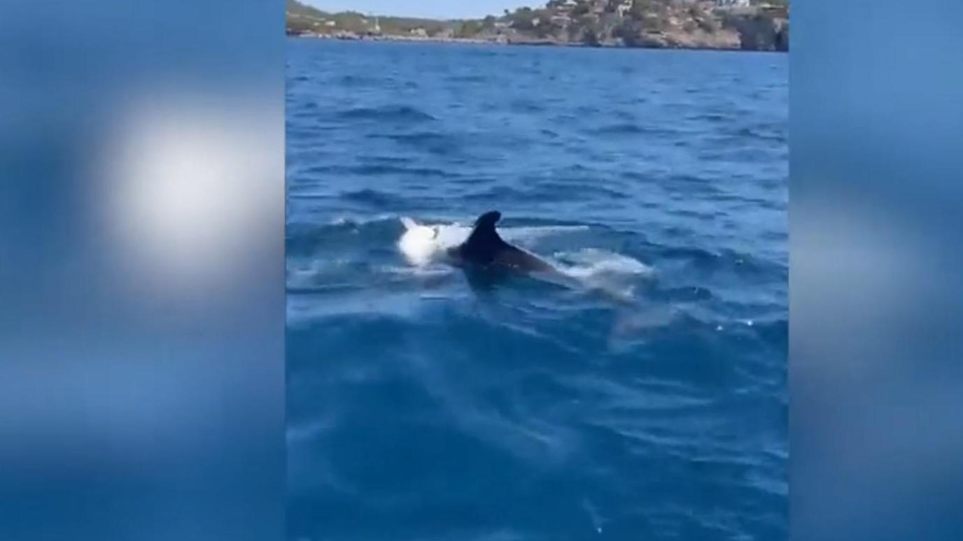 Unwetter in Deutschland Unterbrechung bei öffentlichen Events Video