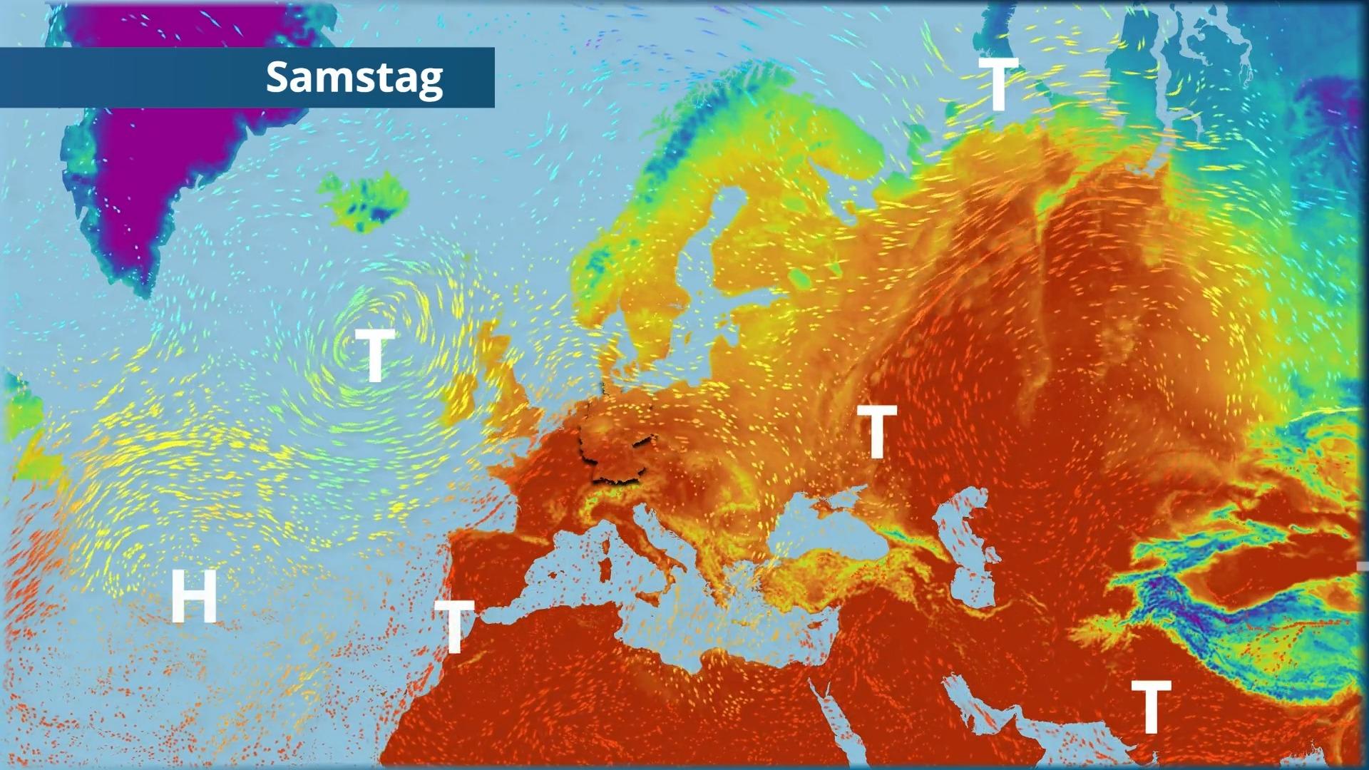 Kartoffeln richtig ernten und lagern: Wann ist der beste Zeitpunkt und ... Kartoffeln richtig ernten und lagern: Wann ist der beste Zeitpunkt und ...