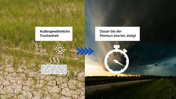 Wie sich Dürrephasen und Regenperioden selbst verstärken