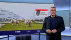 Wie Schafe und Kühe mit Photovoltaik zusammenpassen