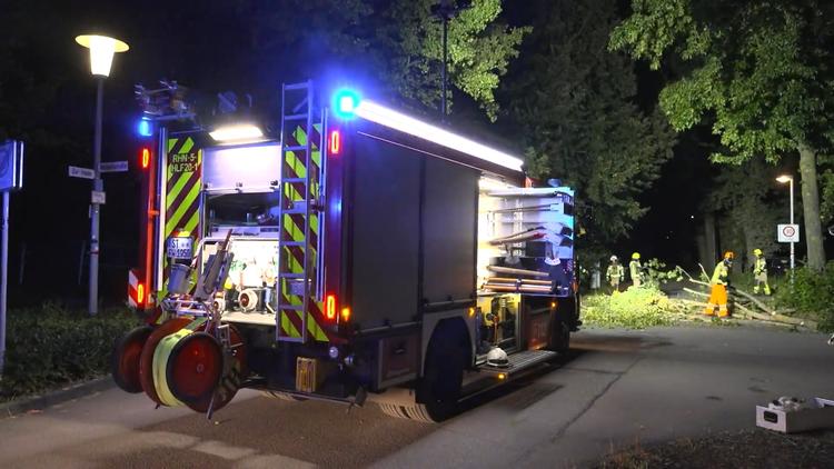 Sturm- und Orkanböen sorgen für umgestürzte Bäume