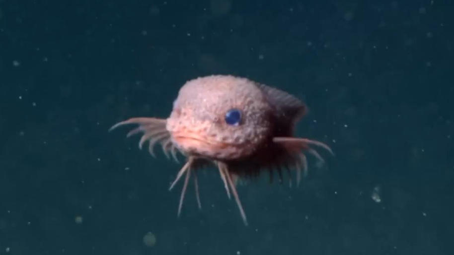 Wetter Marialinden heute ☀ Vorhersage 14 - 21 Tage | wetter.de