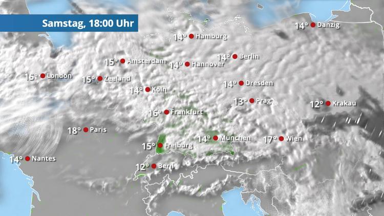 Wer suchet, der findet: Wo sind hier Lücken für die Sonne?