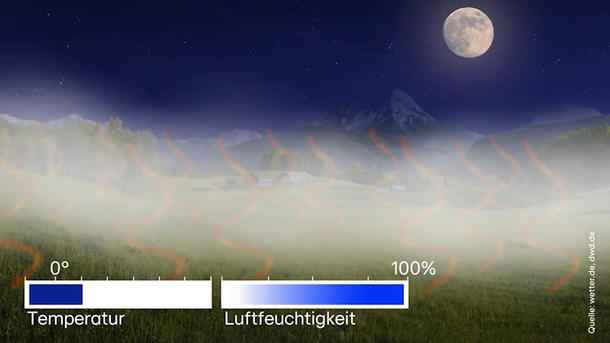 Herbst ist Nebelzeit