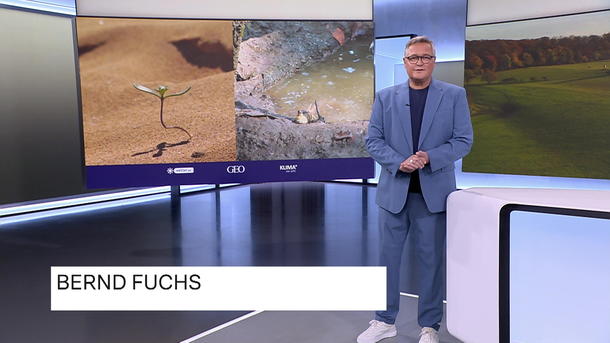 Der Shinkansen - vom Eisvogel zur Innovation