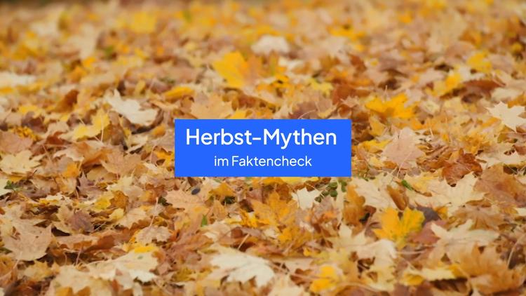 Herbstmythen im Faktencheck