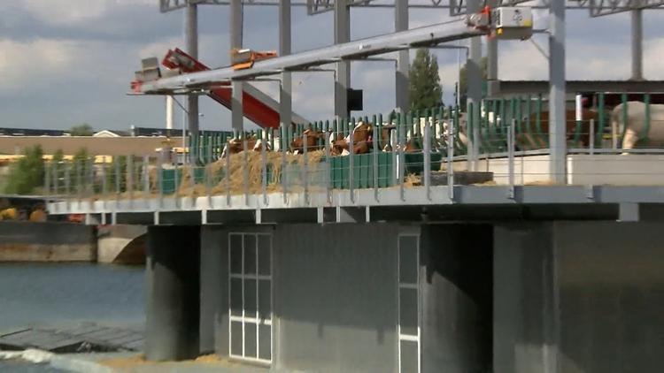 Kompletter Bauernhof liegt im Hafen
