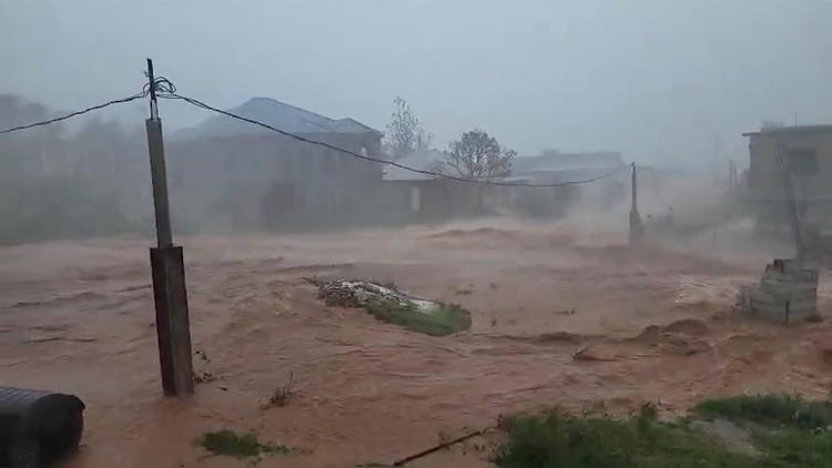 Regierung warnt Bevölkerung jetzt vor Krokodilen