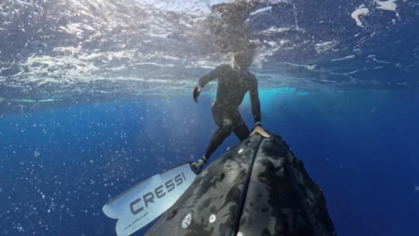 Zwölf Meter und 25 Tonnen! Buckelwal-Weibchen kommt Taucher viel zu nahe