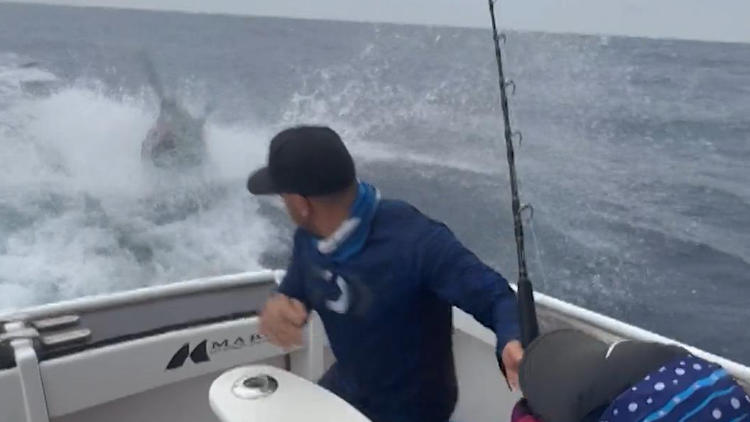 Vom Jäger zum Gejagten! Angler werden fast zur Raubfisch-Beute