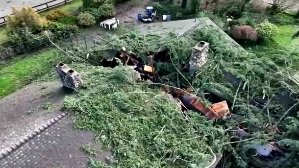 Umgestürzter Baum teilt Haus in zwei Hälften