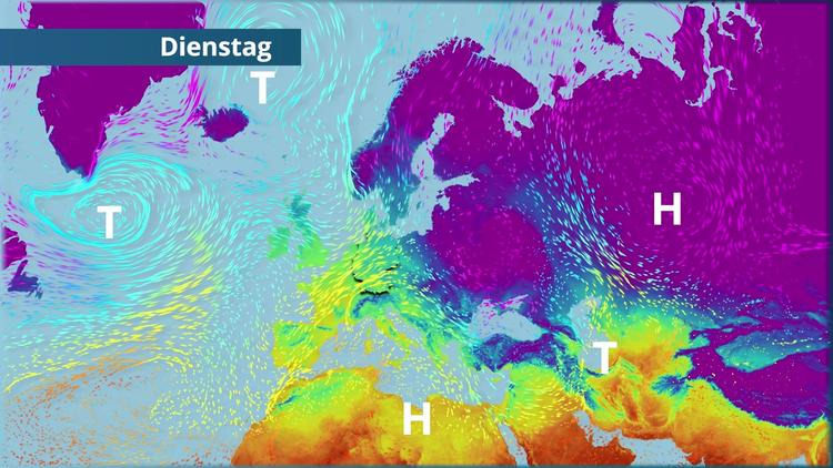 Prognose vom 12. Januar