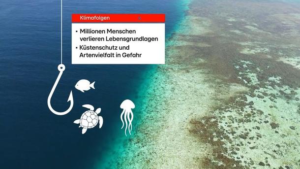 Klimaschutz für den Erhalt der Korallenriffe