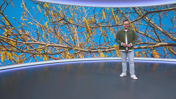 Aktuelle 3-Tage-Vorhersage