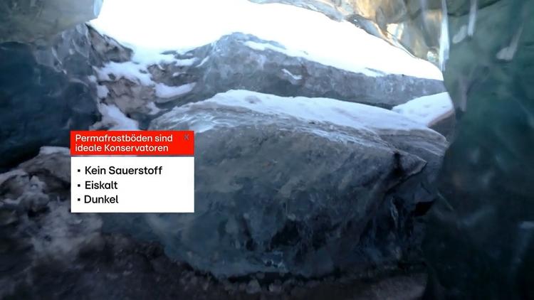 Wie der Klimawandel Krankheitserreger zurückbringt