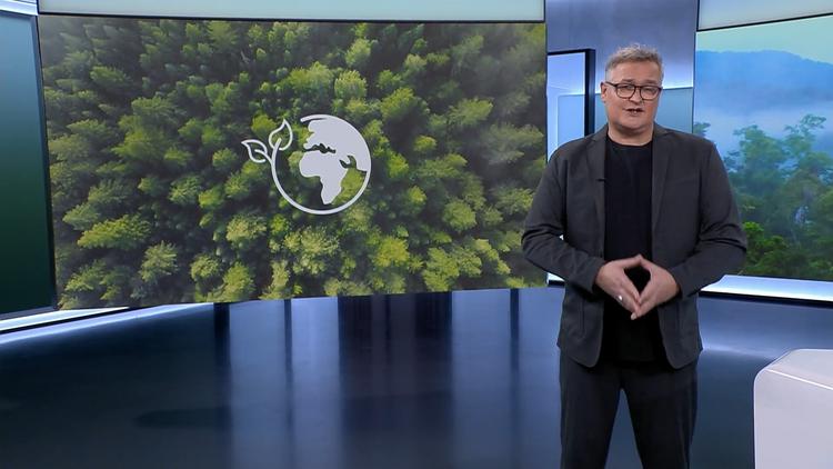 Warum Waldschutz entscheidend für unsere Zukunft ist