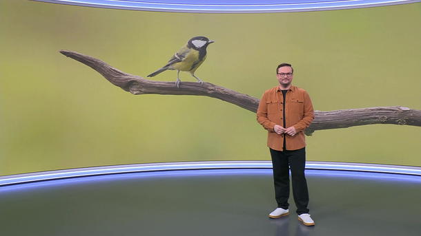 Aktuelle 3-Tage-Vorhersage