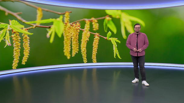 Aktuelle 3-Tage-Vorhersage