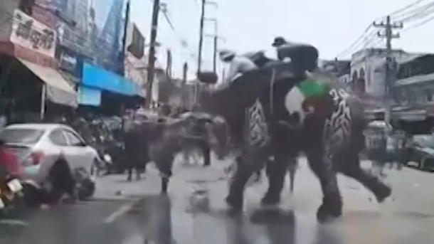 Bei über 40 Grad! Verkleideter Elefant rastet auf Parade aus – und verletzt Touristen